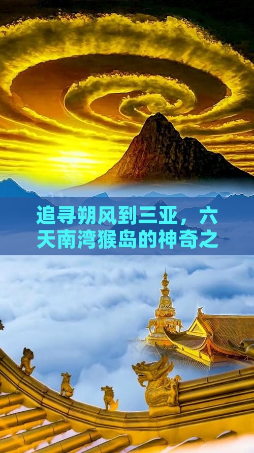 追寻朔风到三亚，六天南湾猴岛的神奇之旅！