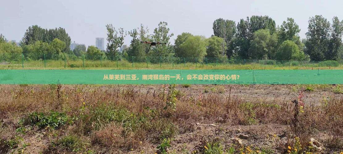从莱芜到三亚，南湾猴岛的一天，会不会改变你的心情？