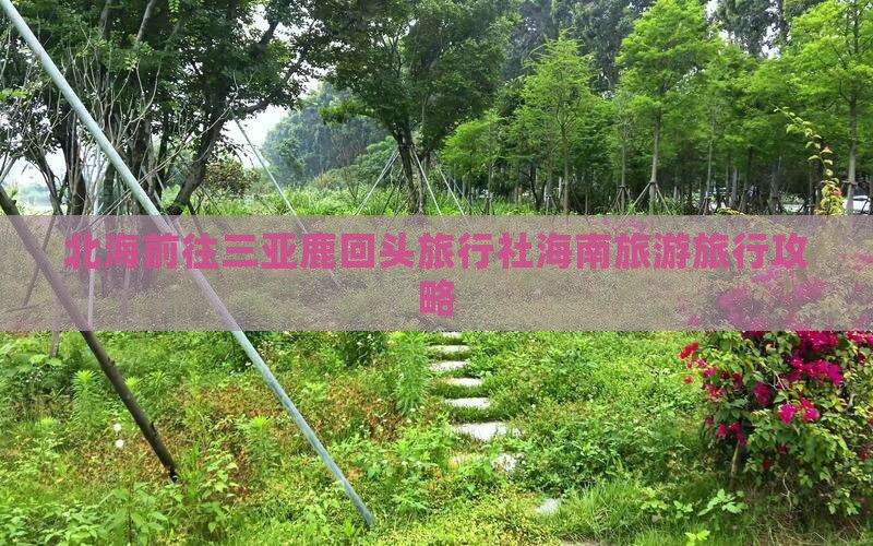 北海前往三亚鹿回头旅行社海南旅游旅行攻略