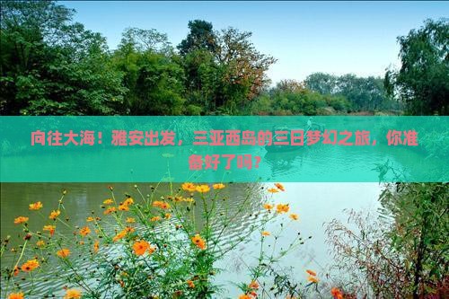 向往大海！雅安出发，三亚西岛的三日梦幻之旅，你准备好了吗？