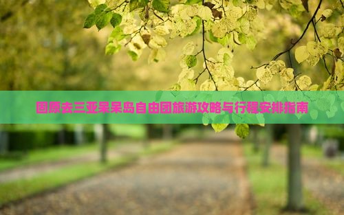 固原去三亚呆呆岛自由团旅游攻略与行程安排指南
