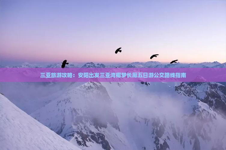 三亚旅游攻略：安阳出发三亚湾椰梦长廊五日游公交路线指南