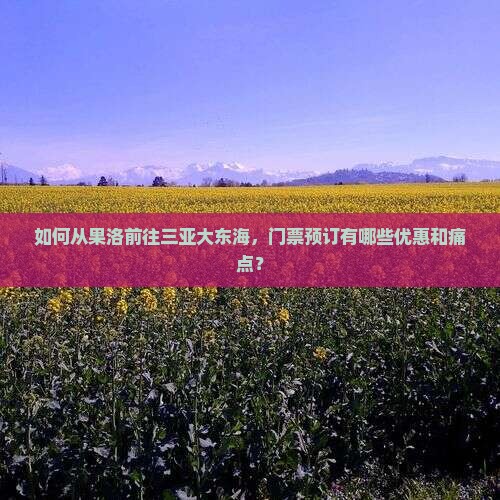 如何从果洛前往三亚大东海，门票预订有哪些优惠和痛点？