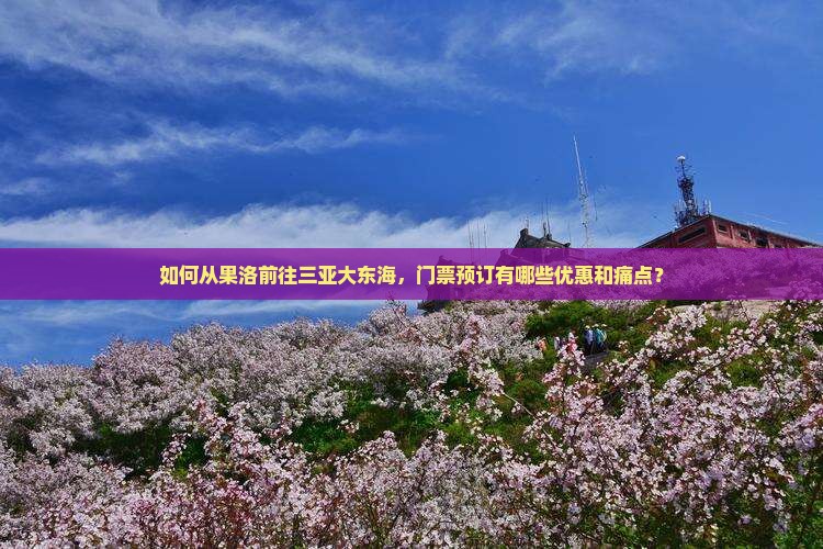 如何从果洛前往三亚大东海，门票预订有哪些优惠和痛点？