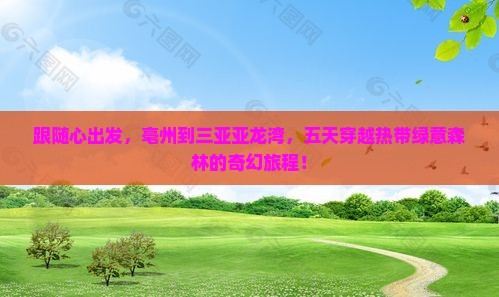 跟随心出发，亳州到三亚亚龙湾，五天穿越热带绿意森林的奇幻旅程！