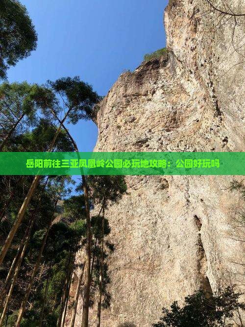 岳阳前往三亚凤凰岭公园必玩地攻略：公园好玩吗