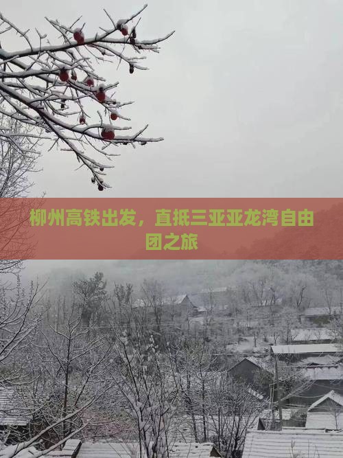 柳州高铁出发，直抵三亚亚龙湾自由团之旅