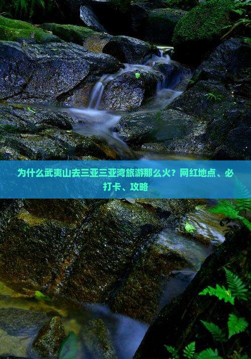 为什么武夷山去三亚三亚湾旅游那么火？网红地点、必打卡、攻略