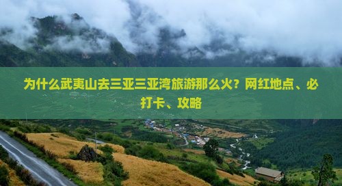 为什么武夷山去三亚三亚湾旅游那么火？网红地点、必打卡、攻略