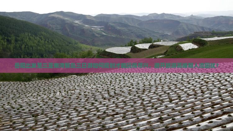 岳阳出发至三亚南湾猴岛三日游如何规划才能玩得尽兴，避开旅游高峰期人流困扰？