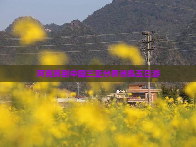 阿克苏到中国三亚分界洲岛五日游
