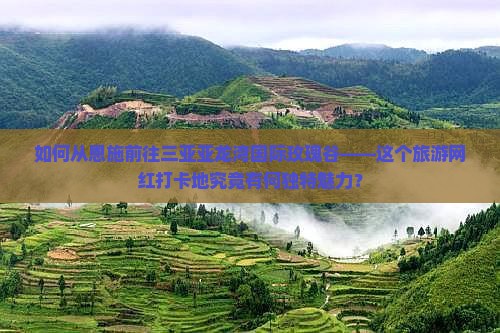 如何从恩施前往三亚亚龙湾国际玫瑰谷——这个旅游网红打卡地究竟有何独特魅力？
