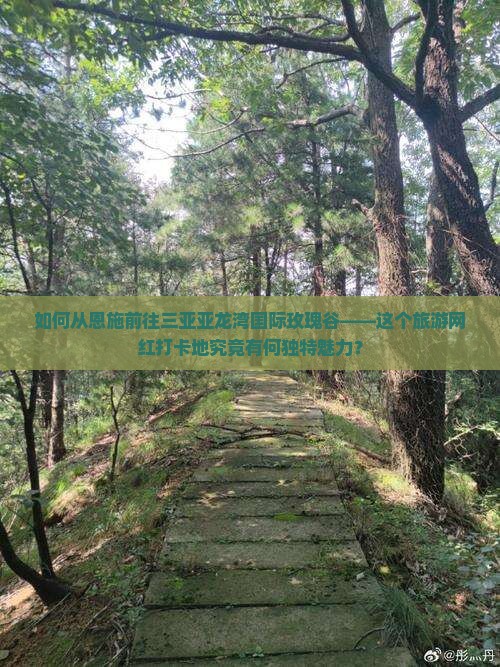 如何从恩施前往三亚亚龙湾国际玫瑰谷——这个旅游网红打卡地究竟有何独特魅力？