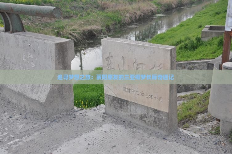 追寻梦想之旅：襄阳朋友的三亚椰梦长廊奇遇记