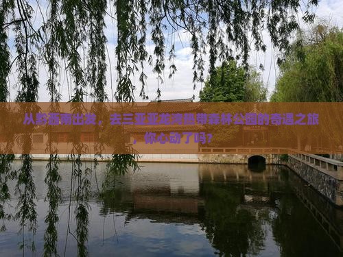 从黔西南出发，去三亚亚龙湾热带森林公园的奇遇之旅，你心动了吗？