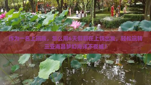 作为一名上班族，怎么用6天假期在上饶出发，轻松玩转三亚海昌梦幻海洋不夜城？