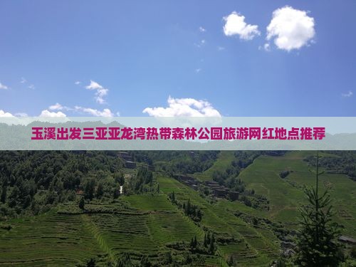 玉溪出发三亚亚龙湾热带森林公园旅游网红地点推荐