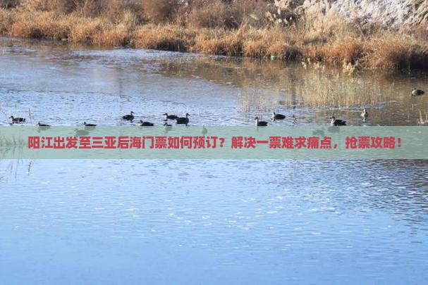 阳江出发至三亚后海门票如何预订？解决一票难求痛点，抢票攻略！