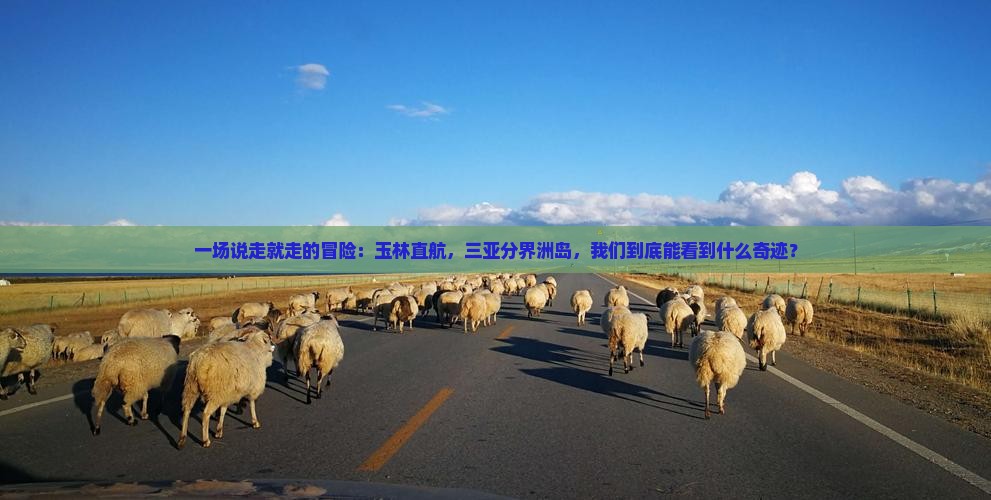 一场说走就走的冒险:玉林直航,三亚分界洲岛,我们到底能看到什么奇迹? 一场说走就走的冒险:玉林直航,三亚分界洲岛,我们到底能看到什么奇迹?
