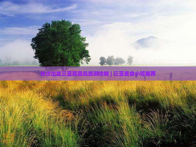 长沙出发三亚凤凰岛旅游攻略 | 三亚美食小吃推荐