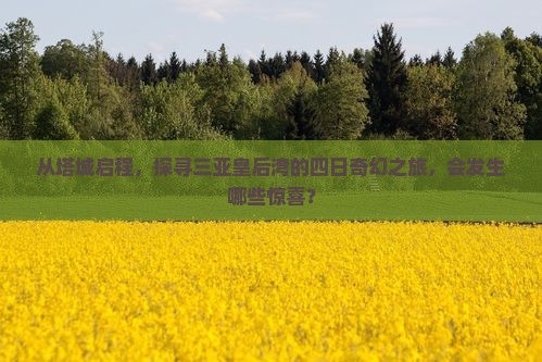 从塔城启程，探寻三亚皇后湾的四日奇幻之旅，会发生哪些惊喜？
