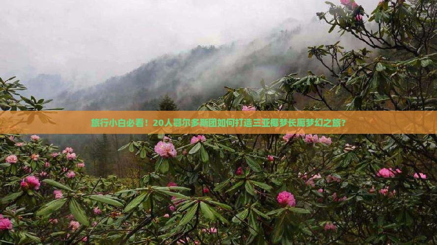 旅行小白必看！20人鄂尔多斯团如何打造三亚椰梦长廊梦幻之旅？