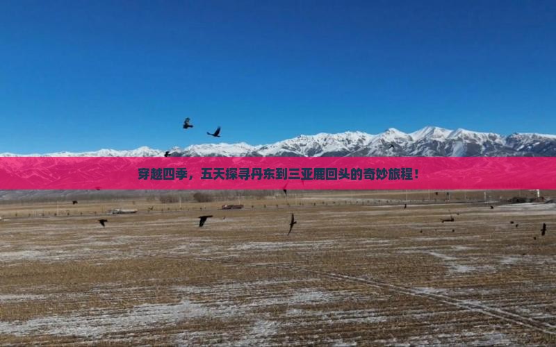 穿越四季，五天探寻丹东到三亚鹿回头的奇妙旅程！