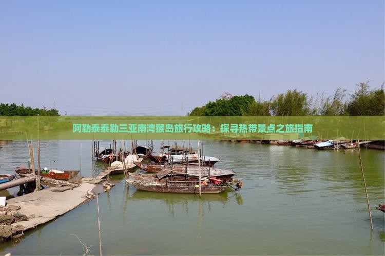 阿勒泰泰勒三亚南湾猴岛旅行攻略：探寻热带景点之旅指南