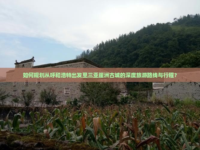如何规划从呼和浩特出发至三亚崖洲古城的深度旅游路线与行程？