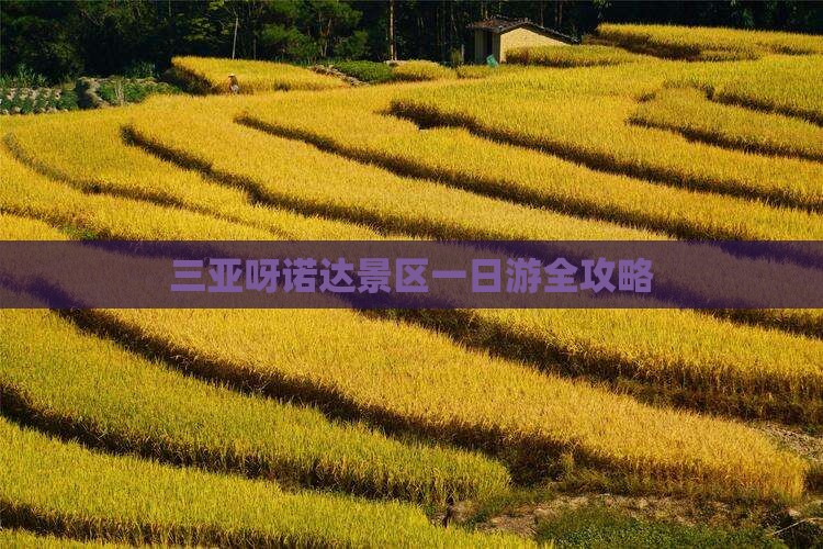 三亚呀诺达景区一日游全攻略