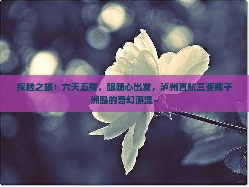 探险之旅！六天五夜，跟随心出发，泸州直航三亚椰子洲岛的奇幻漂流~