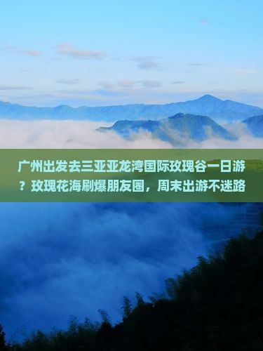 广州出发去三亚亚龙湾国际玫瑰谷一日游？玫瑰花海刷爆朋友圈，周末出游不迷路！