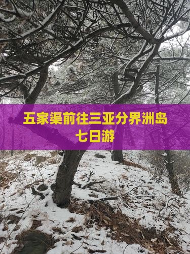 五家渠前往三亚分界洲岛七日游