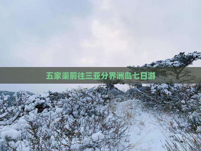 五家渠前往三亚分界洲岛七日游