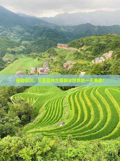 探险铜川，三亚亚特兰蒂斯水世界的一天奇遇！