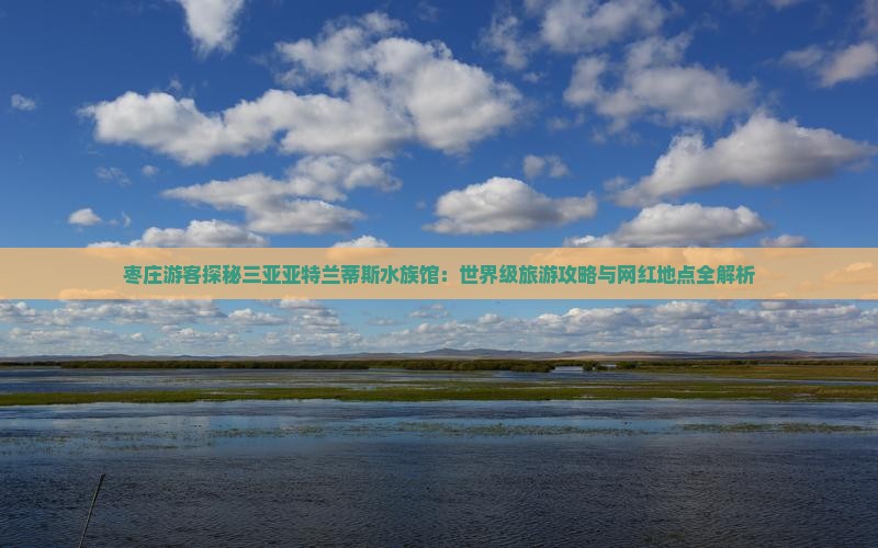 枣庄游客探秘三亚亚特兰蒂斯水族馆：世界级旅游攻略与网红地点全解析