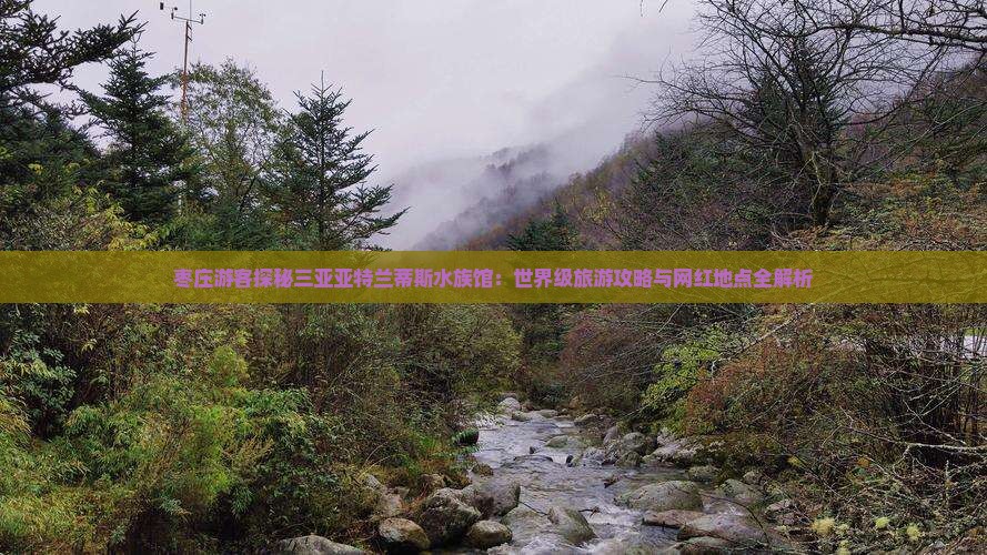 枣庄游客探秘三亚亚特兰蒂斯水族馆：世界级旅游攻略与网红地点全解析