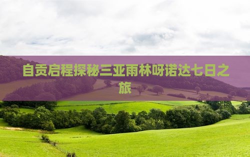 自贡启程探秘三亚雨林呀诺达七日之旅