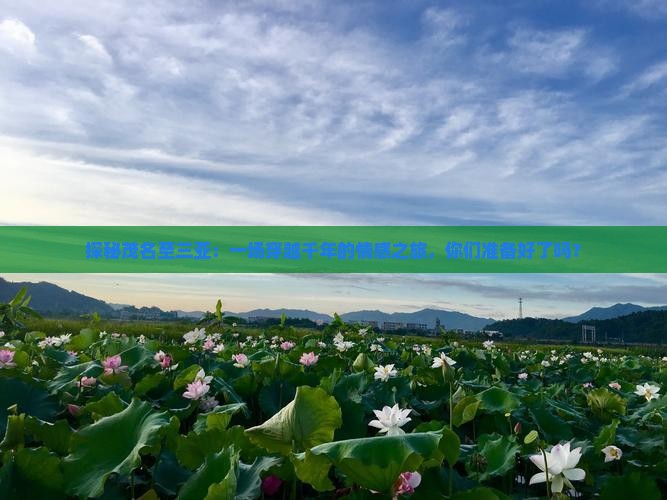 探秘茂名至三亚：一场穿越千年的情感之旅，你们准备好了吗？
