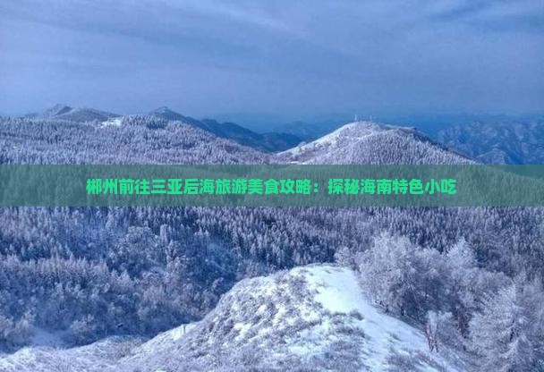 郴州前往三亚后海旅游美食攻略：探秘海南特色小吃