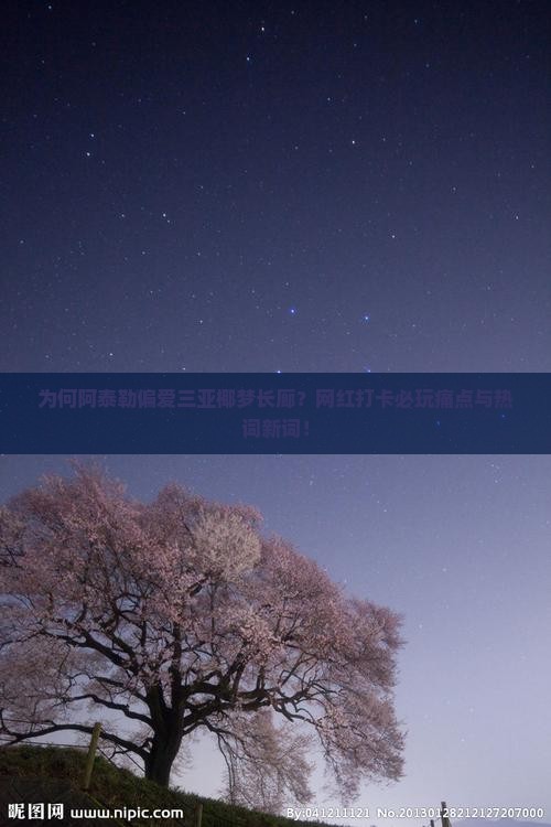 为何阿泰勒偏爱三亚椰梦长廊？网红打卡必玩痛点与热词新词！