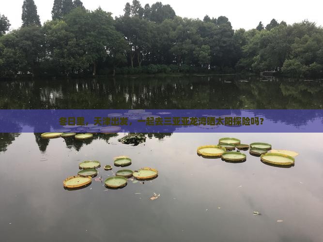 冬日里，天津出发，一起去三亚亚龙湾晒太阳探险吗？