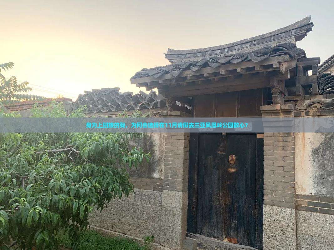 身为上班族的我，为何会选择在11月请假去三亚凤凰岭公园散心？