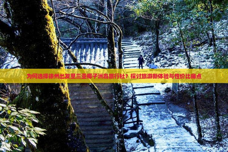 为何选择徐州出发至三亚椰子洲岛旅行社？探讨旅游新体验与性价比痛点