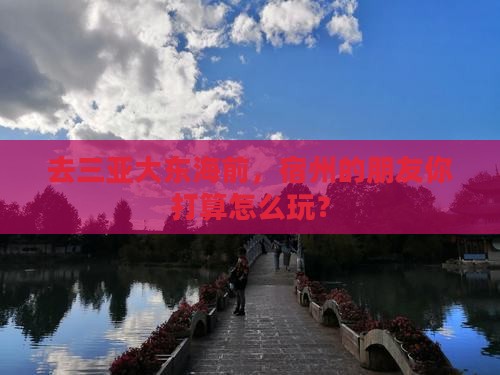 去三亚大东海前，宿州的朋友你打算怎么玩？
