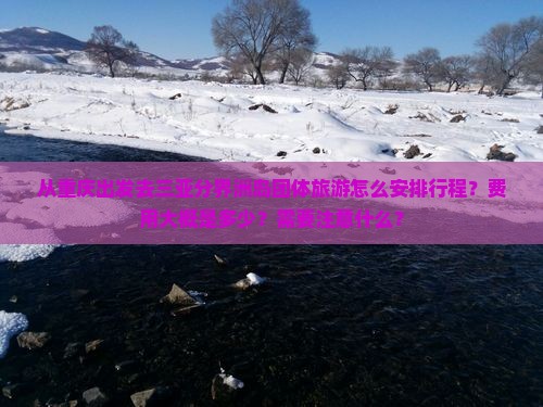 从重庆出发去三亚分界洲岛团体旅游怎么安排行程？费用大概是多少？需要注意什么？