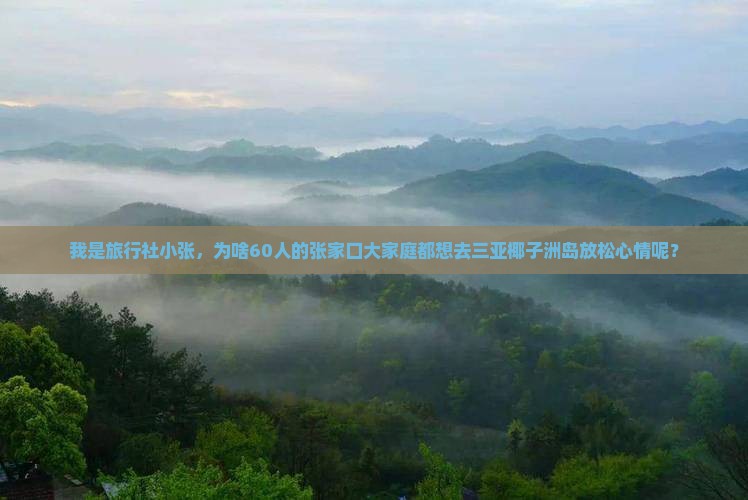 我是旅行社小张，为啥60人的张家口大家庭都想去三亚椰子洲岛放松心情呢？