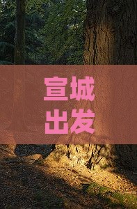 宣城出发三亚亚龙湾热带森林公园纯玩五日游