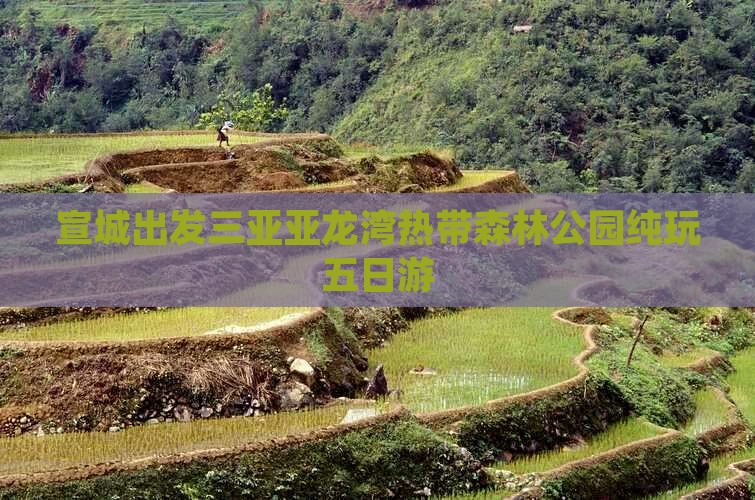 宣城出发三亚亚龙湾热带森林公园纯玩五日游