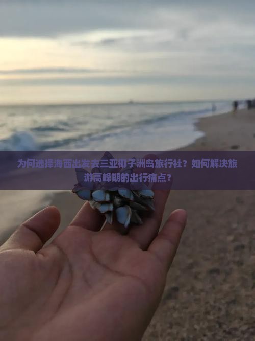 为何选择海西出发去三亚椰子洲岛旅行社？如何解决旅游高峰期的出行痛点？